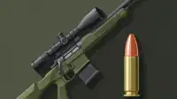 M24 Sniper Rifle: Finally Hitting the Broad Side of a Barn