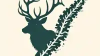 Blue Mountains Elk Hunting at Risk as USFS Plan Omits Motorized Access Controls