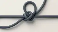 Essential Fieldcraft: the Slip Knot's Functional Role and Critical Limits