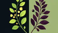Crucial Identification: Toxic Wild Plants and Their Edible Counterparts
