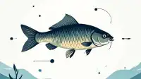 Kansas Survey Reveals Angler Disinterest and Management Challenges for Common Carp