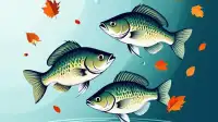 Fall Crappie Strategies: Capitalizing on Seasonal Aggression