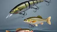 Evaluating Readily Available Swimbait Systems for Competitive Bass Angling