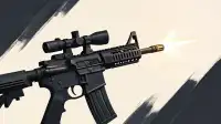 Suppressor Velocity: Data Finds Bullet Speed Unaffected.